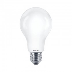 Żarówka LED E27 17,5W 2700K A67