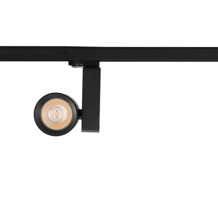 Reflektor Ojo 25W 2700/4000K Czarny 3 Obwodowy Reflektor Ojo 25W 2700/4000K Czarny 3 Obwodowy