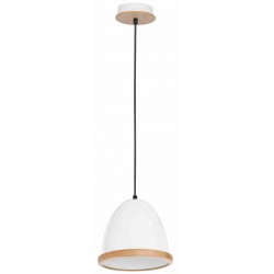 Lampa wisząca STUDIO WHITE 1xE27